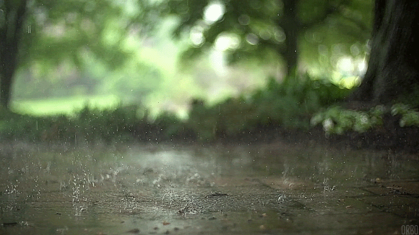 Animated GIF's for use in wallpapers Follow us for regular updates on awesome new wallpapers!