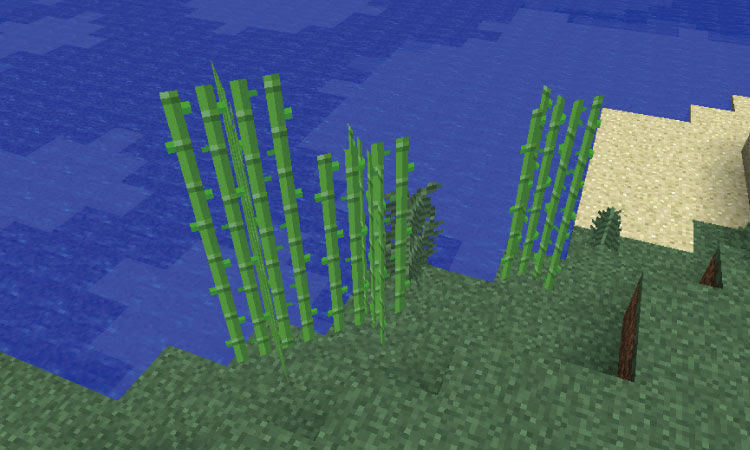 サトウキビのキホンと栽培を完全自動化する方法まとめ マインクラフト マイクラモール