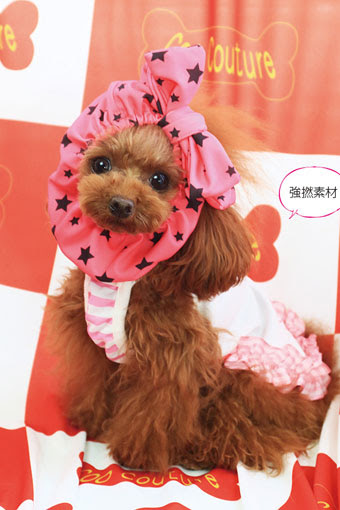 犬のスヌード Godpiva Sweetpiva ベアボーダースヌード ネイビー ゴッドピヴァ