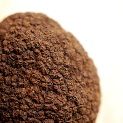 black truffle© by Haalo
