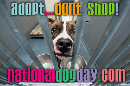 Animal shelter