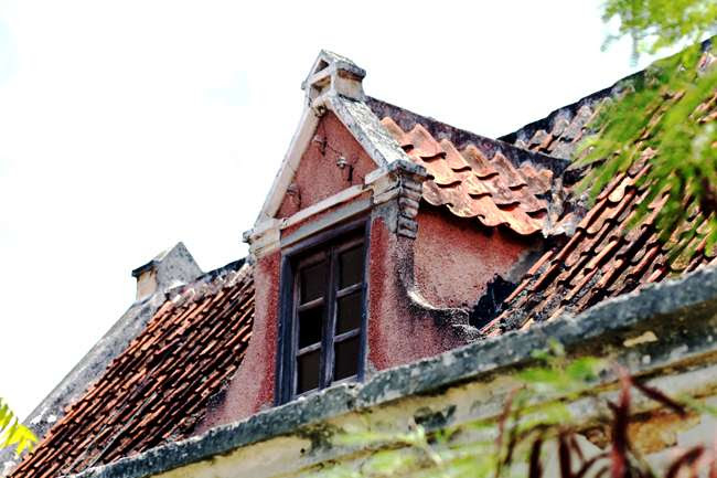 Image Hosted by ImageShack.us