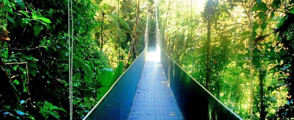 Costa Rica is a world leader in environmental sustainability