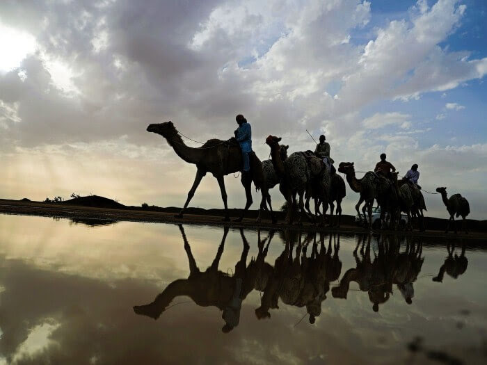 صور من العالم