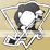 Pittsburgh Penguins