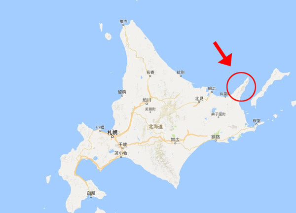 冬の一人旅に最適 日本で唯一流氷が見れる 北海道 知床を紹介