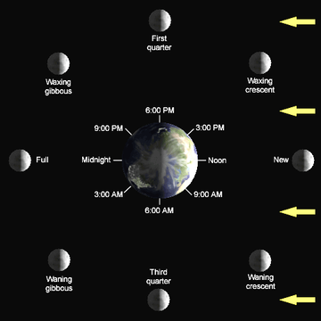 moon phase