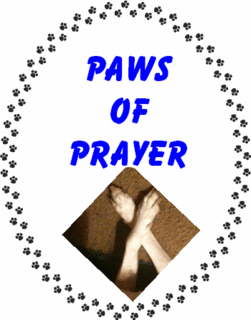 Join the paws of prayer circle