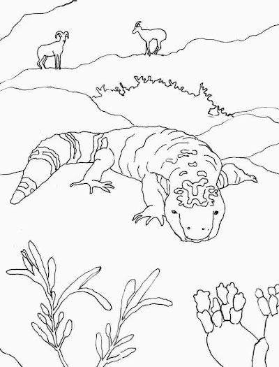 Gila Monster Coloring Page