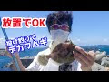 画像をダウンロード カワハギ 投げ 釣り 232170-カワハギ 釣り 投げ
