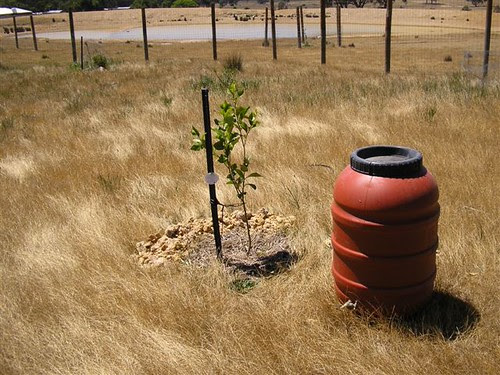 Amherst (Nov 1st trip)