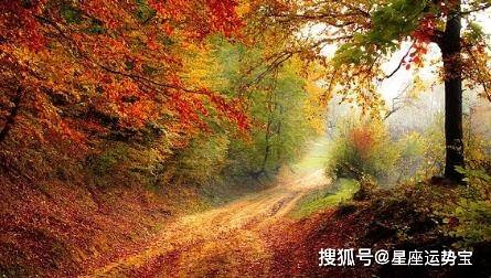 日运 娜迪亚 6月7日星座运势 万事大吉 爱情