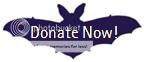 donate now bat button