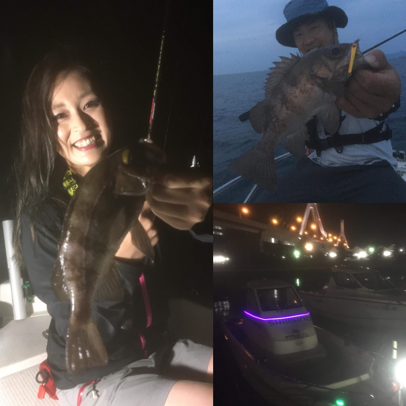 青森県 陸奥湾 ナイトメバル ライトロックフィッシュボートゲーム ますへいブログ