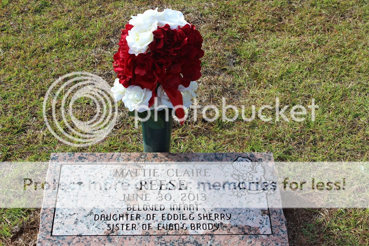 photo Mattie1_zps49fc3234.jpg