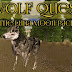 Wolf Quest Sign In / This account is for the wolfquest community forum.