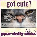 Your Daily Cute
