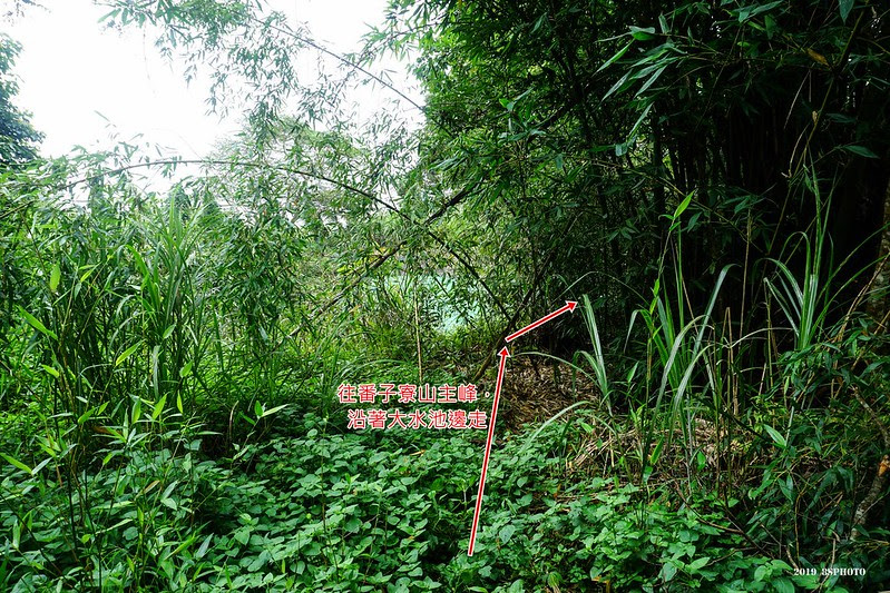 DSC08354