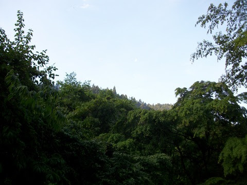 IMGP0307