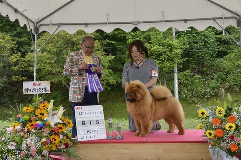 received_1947430595302206