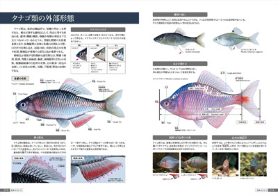 魚類関連書籍