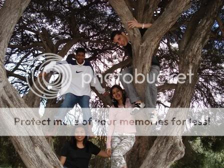 Photobucket - Video and Image Hosting
