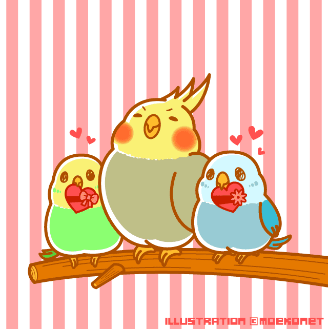 動物イラストno 152 バレンタインデーのインコたち イラスト制作moekonet