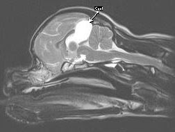 fig-1-crop.jpg