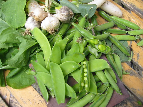 Now picking