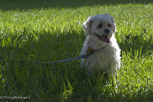 Weekend Fun 20120606
