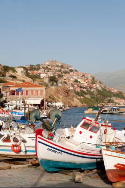 مسابقة التصوير 