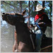 The Pineywoods Trail Ride, held in Beaver, La., last Labor Day weekend, is one of a circuit of zydeco trail rides that take place in Cajun country around Lafayette, La., and in parts of Texas.
