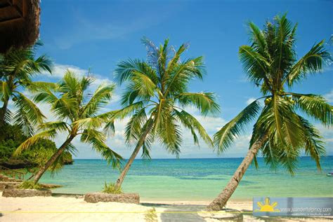 list  synonyms  antonyms   word camotes islands