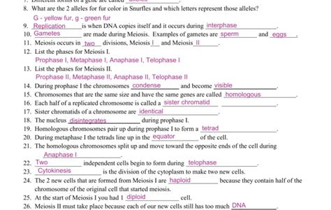 Download Kindle Editon SNURFLE MEIOSIS 2 ANSWERS Kindle Edition PDF