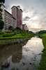 Bishan Park - City in a garden