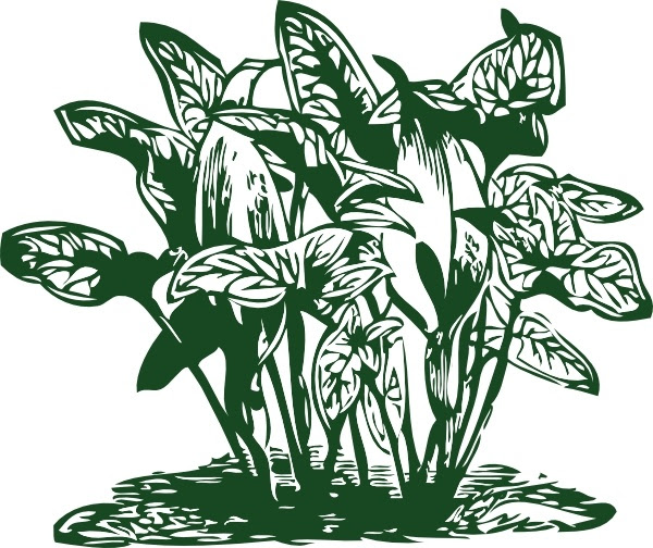 plant clip art. Tropical Plants clip art