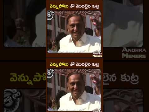 చిత్రం