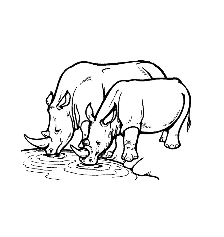 Free Printable Rhinoceros Coloring Pages For Kids