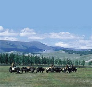 Mongolia
