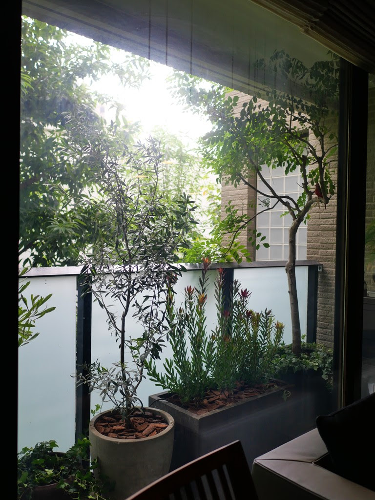 Case 49 室内からの景色になるベランダグリーン 観葉植物 レンタル 個人住宅向け観葉植物レンタル Love Green ラブグリーン