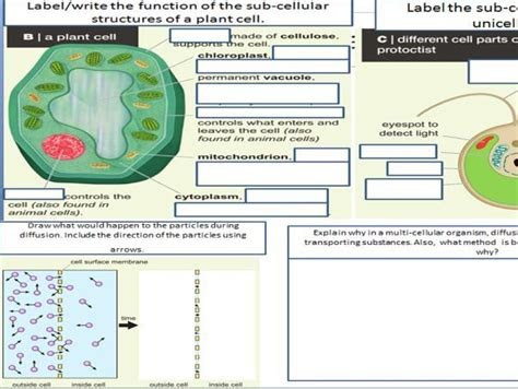  ks3 science revision worksheets teaching resources