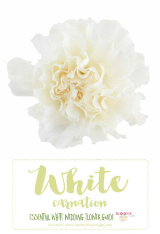 White Wedding Flowers Guide: Types of White Flowers, Names ...