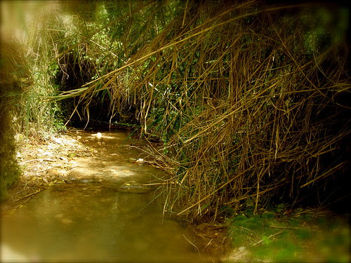 River