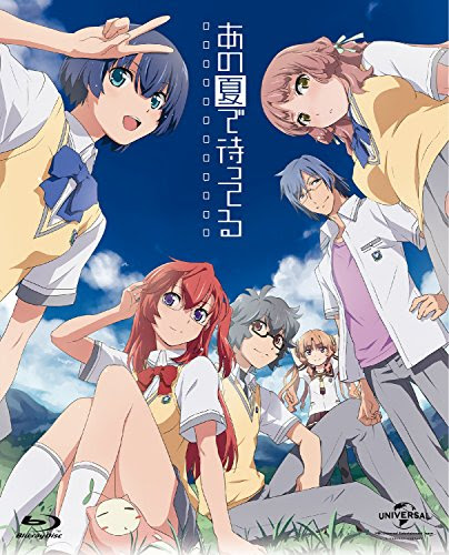 夏に観たくなる おすすめの 夏アニメ アニメ映画 8選 Hacogaki