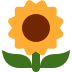 🌻