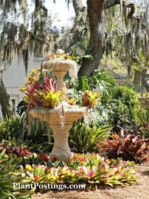 fountain