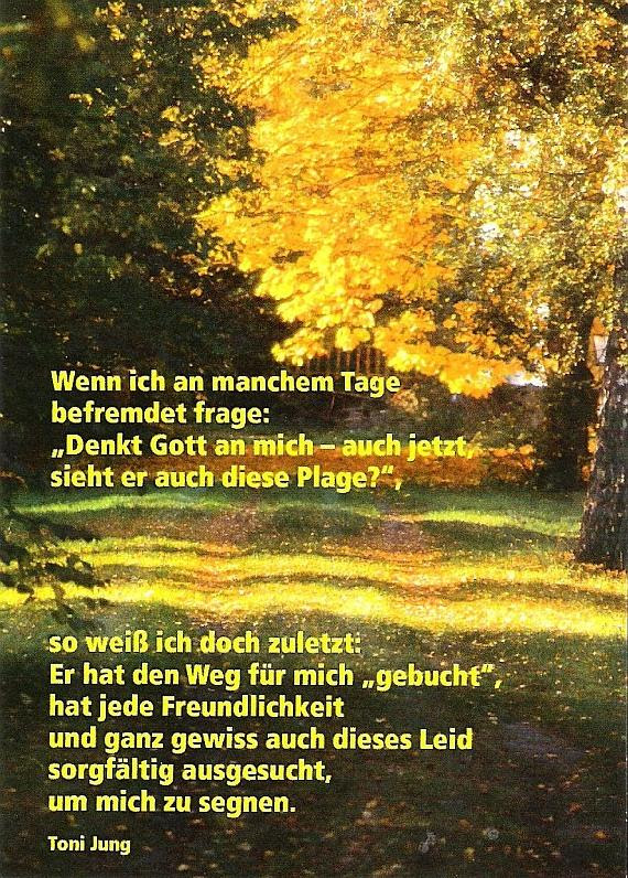 glückwünsche zum geburtstag mit blumen