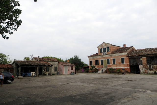 in bici cavallino lio piccolo