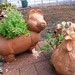 June Garden 2 013