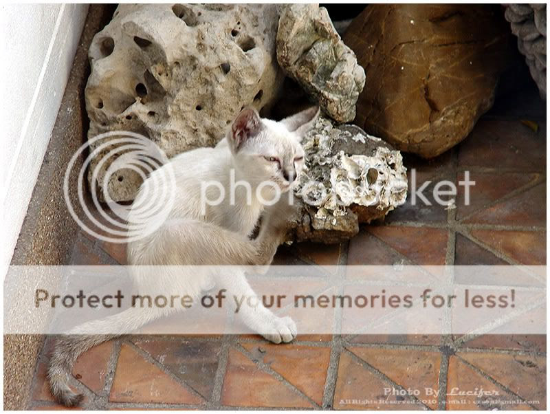 Photo Bangkok Thailand